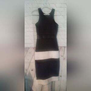 Fitted Dress with sheer Fabric pieces.